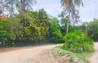 10 ac Land at Majengo - 8