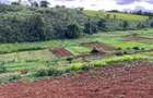 Land in Tigoni - 3