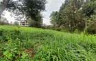 0.5 ac Land at Ruaka Town - 3