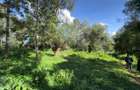 0.5 ac Land in Lake View - 4