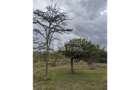 9.7 ac Land in Nanyuki - 3