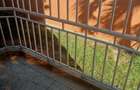 3 Bed Apartment with Parking in Kileleshwa - 2