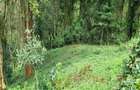 0.5 m² Land at Kitisuru Road - 3