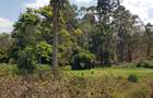 Residential Land at Flem Tree Off Ruaka Road - 6