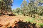 500 m² Residential Land at Oaklands - 15