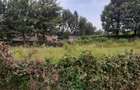 0.125 ac Land in Kikuyu Town - 9