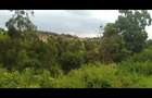0.25 ac Land at Mugutha Ihigaini - 7
