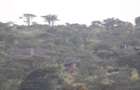 Land in Mombasa Road - 15