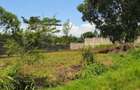 0.5 ac Land in Thome - 7