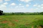 Residential Land in Runda - 9