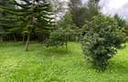 Commercial Land in Lavington - 3