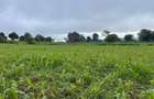 3.7 ac Land at Kiambu - 1