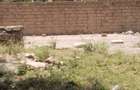 0.25 ac Land at Quarry Road - 5