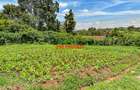 0.05 ha Commercial Land in Kikuyu Town - 10