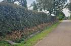 0.76 ac Residential Land at Gardenestate Road - 1