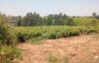 0.5 ac Land in Tigoni - 2