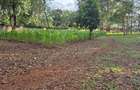 Land in Thigiri - 2