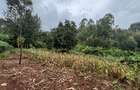 0.42 ac Residential Land at Kirawa Road - 9