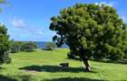 2 ac Land at Kilifi Bofa Beach - 11