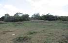 Residential Land at Ololua Ridge - 12