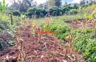 0.05 ha Residential Land at Muthiga - 7