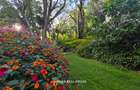 1 ac Land at Old Muthaiga - 1