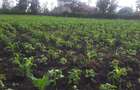 0.125 ac Residential Land in Ongata Rongai - 3