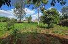 Residential Land in Runda - 11