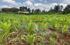 0.1 ha Commercial Land in Kikuyu Town - 9