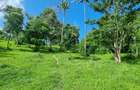 2.5 ac Land at Mtwapa Creekside - 17