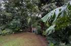 4 Bed House with En Suite in Lavington - 5
