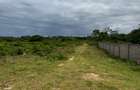 10 ac Land in Vipingo - 12
