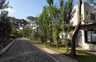 5 Bed Villa with En Suite in Karen - 20
