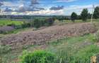 40 ac Land in Limuru - 10