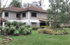 Commercial Property with Parking in Lavington - 1