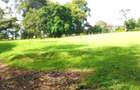 1 ac Land in Karen - 1