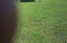 2 ac Land in Ongata Rongai - 10