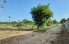 Residential Land in Nyali Area - 13