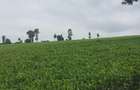 3 ac Land in Limuru - 1