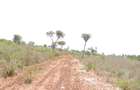 0.25 ac Residential Land at Diani Beach Road - 4