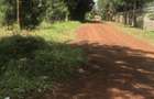 1,200 m² Land at Kiukenda Mugumo Kiambu - 2