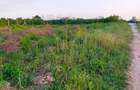 Land in Vipingo - 15