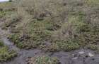 Land at Eastern Bypass - 3