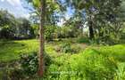 2.3 ac Land in Kitisuru - 5