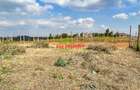 0.125 ac Residential Land at Lusigetti - 6