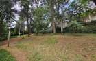4 Bed Townhouse with En Suite in Karen - 12