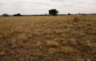 30 ac Land at Off Namanga Rd - 10