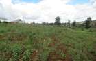 4.5 ac Land at Kibiko - 11