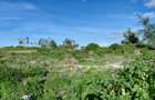 4.5 ac Land at Paparemo - 6