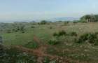 1 m² Residential Land at Kilifi - 4